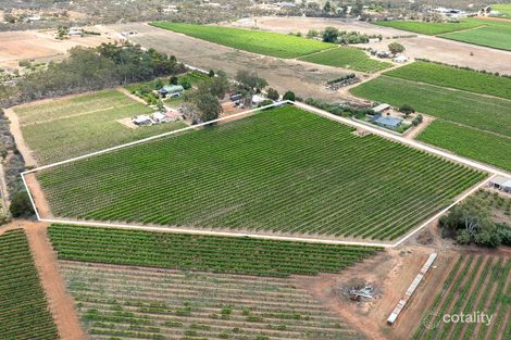 Lot 1248 Hodges Rd, Glossop, SA 5344