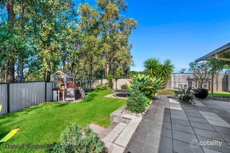 Property photo of 20 Boxwood Court Warner QLD 4500