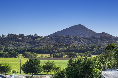 Property photo of 11 Viv Hull Avenue Eumundi QLD 4562