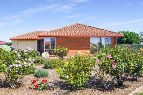 Property photo of 53 Croser Avenue Aldinga Beach SA 5173