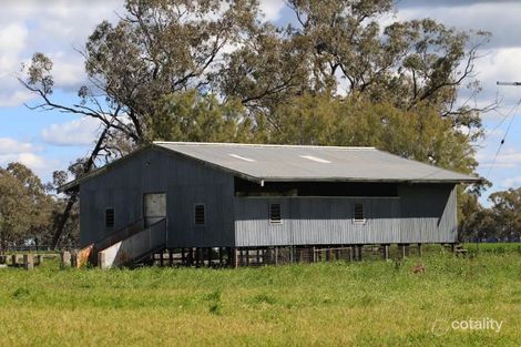 Property photo of 1049 Box Ridge Road Gulargambone NSW 2828