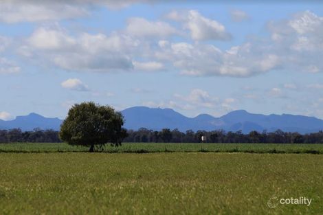 Property photo of 1049 Box Ridge Road Gulargambone NSW 2828