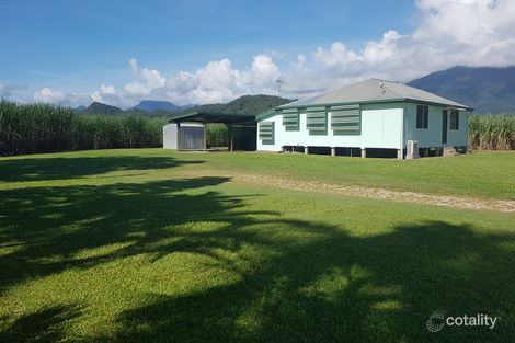 14r Rutherford Rd, Miallo, QLD 4873