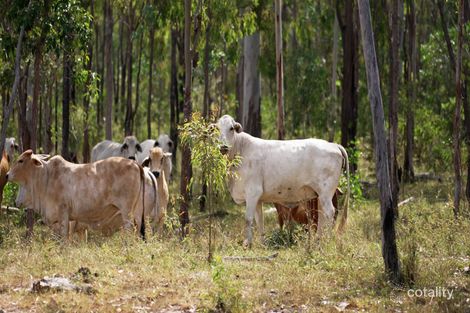 49599 Bruce Hwy, Benaraby, QLD 4680