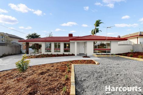 19 Celestine St, Wanneroo, WA 6065