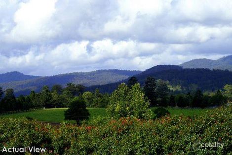 Property photo of 1038 East Bank Road Nana Glen NSW 2450