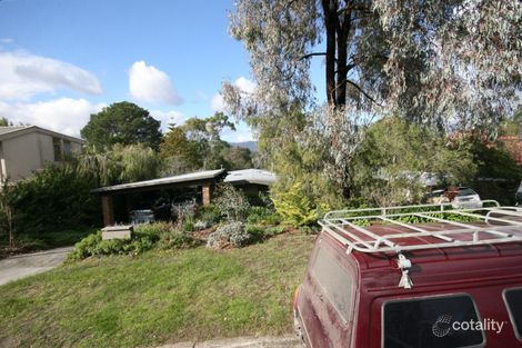 21 Orchard Gr, Heathmont, VIC 3135