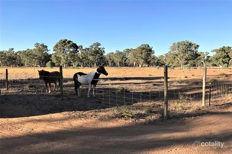 974 Black Hill Rd, Cambrai, SA 5353