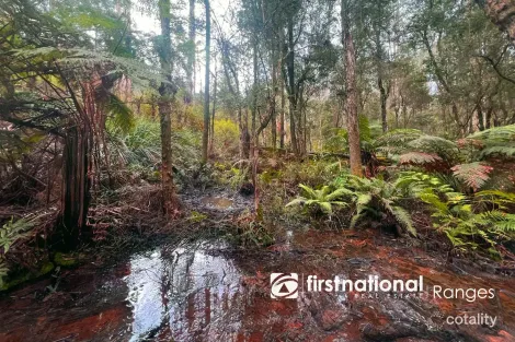 Property photo of 2780 Gembrook-Launching Place Road Gembrook VIC 3783