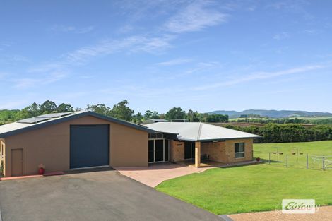 4749 Gillies Range Rd, East Barron, QLD 4883