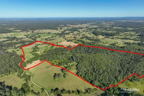 1589 Comboyne Rd, Killabakh, NSW 2429