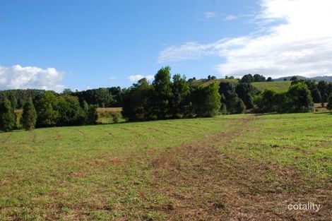 Property photo of 49 Richards Deviation Dunbible NSW 2484