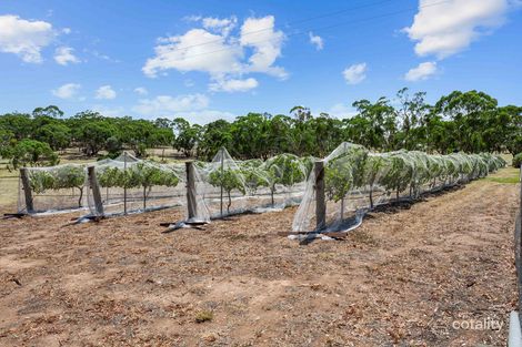 86 Hubbe Rd, Stanley Flat, SA 5453