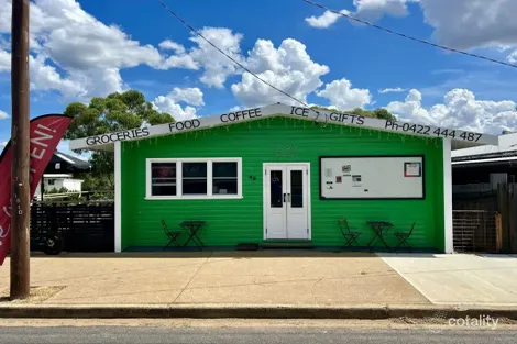 49 Railway Pde, Gravesend, NSW 2401