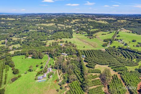 Property photo of 441 Sneaths Road Alstonvale NSW 2477