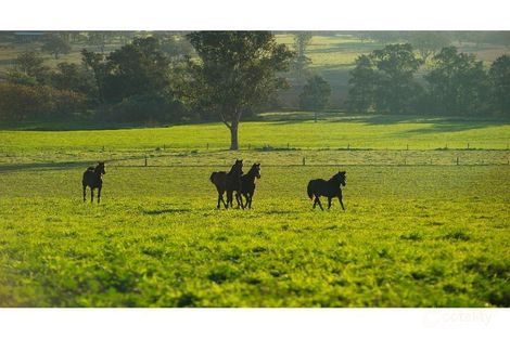 565 Middlebrook Rd, Middle Brook, NSW 2337