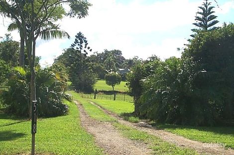 Property photo of 518 Trees Road Tallebudgera QLD 4228