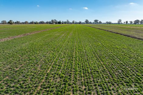 81 Dowra Lane, Jemalong, NSW 2871