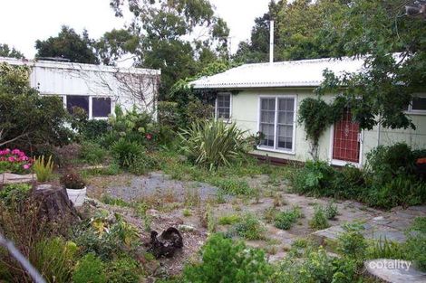 Property photo of 40 Maple Street Blackburn VIC 3130