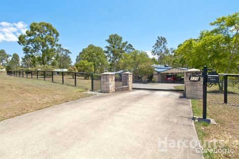 Property photo of 117-125 Peppertree Drive Jimboomba QLD 4280