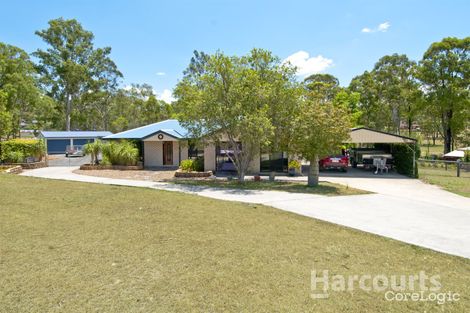 Property photo of 117-125 Peppertree Drive Jimboomba QLD 4280