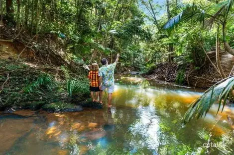 Property photo of 7 Discovery Drive Kuranda QLD 4881