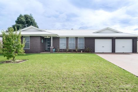 Property photo of 19 Cobbity Avenue Dubbo NSW 2830