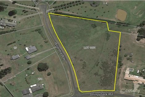 Lot 1001 Stringybark Rd, Nowra Hill, NSW 2540