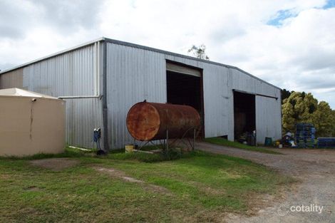 Property photo of 555 Beaudesert-Beenleigh Road Wolffdene QLD 4207