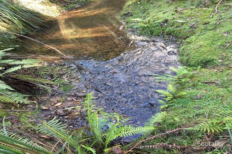 1409 Maroondah Hwy, Narbethong, VIC 3778