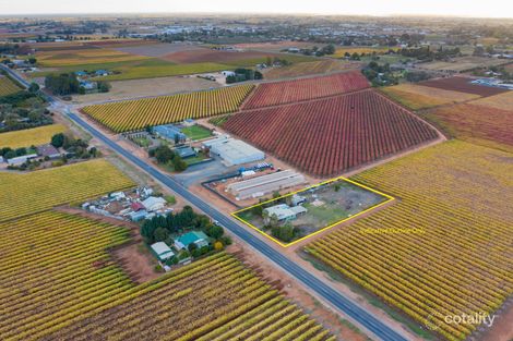 172 Morpung Ave, Irymple, VIC 3498