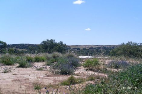 31 Mary St, Northampton, WA 6535