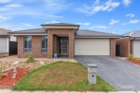 1911 Callaghan St, Jackass Flat, VIC 3556