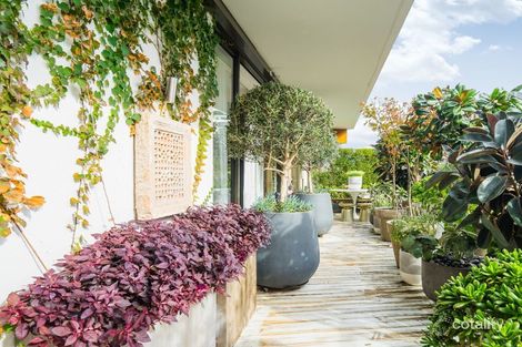 209/8 Sam Sing St, Waterloo, NSW 2017