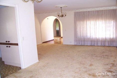 Property photo of 28 Ceratonia Street Sunnybank Hills QLD 4109