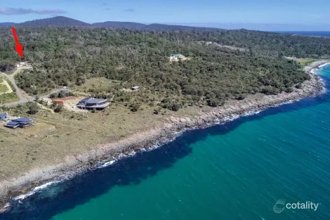 Property photo of 613 White Beach Road White Beach TAS 7184