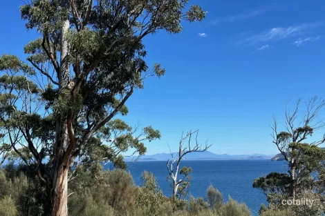 613 White Beach Rd, White Beach, TAS 7184