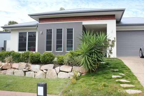 Property photo of 15 Smoke Bush Drive Noosa Heads QLD 4567