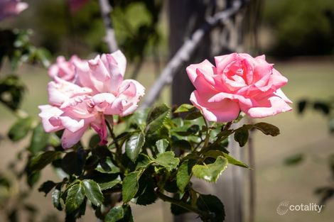 802 Felton Rd, Pittsworth, QLD 4356