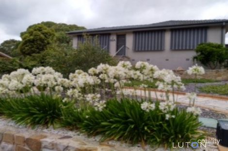 Property photo of 56 Daley Crescent Fraser ACT 2615