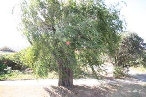 Property photo of 43 Frederick Street Glengowrie SA 5044