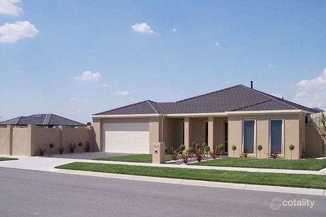 Property photo of 43 Greenfield Drive Traralgon VIC 3844