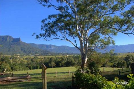 914 Brays Creek Rd, Brays Creek, NSW 2484