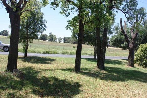 Property photo of 44 Goddard Street Coolah NSW 2843