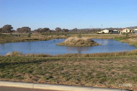 Property photo of 16 Petersilka Street Gungahlin ACT 2912
