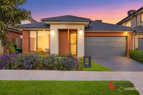 13 Haflinger Ave, Bonnie Brook, VIC 3335