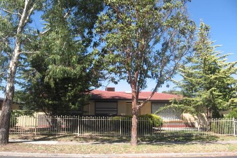 Property photo of 49 Tasman Avenue Gilles Plains SA 5086