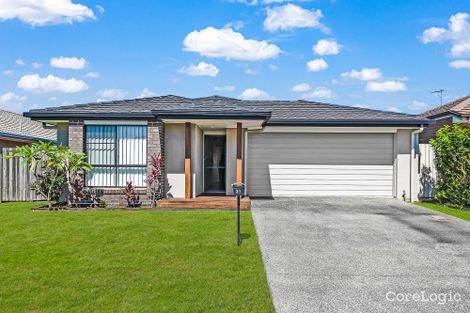 Property photo of 31 Waterbird Crescent Caboolture QLD 4510