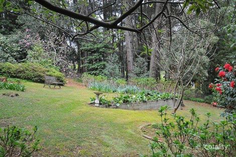 Property photo of 1 Kenneth Avenue Sassafras VIC 3787