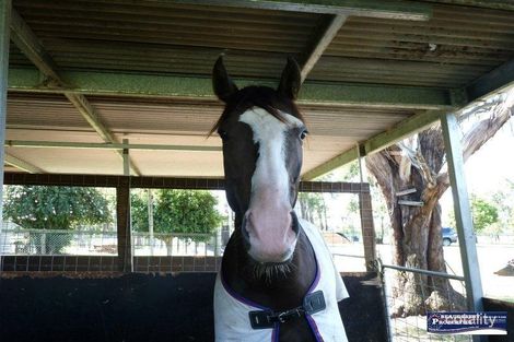 1042 Kerry Rd, Kerry, QLD 4285